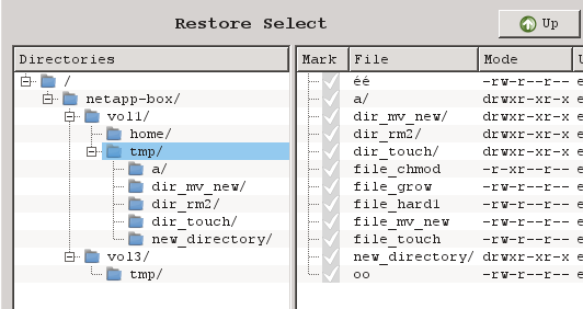 NetApp and Volume Structure