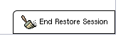 Terminate the Restore Session