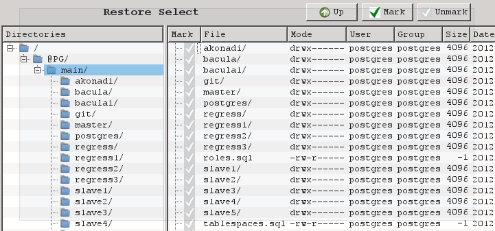 PostgreSQL Cluster Contents During Restore