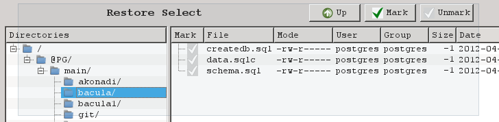 Database Contents During Restore