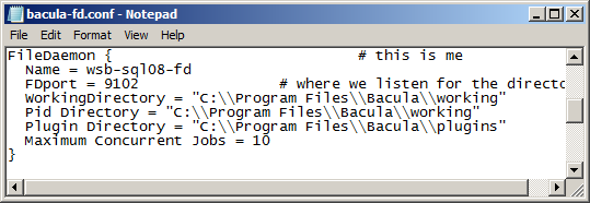 File Daemon Configuration Excerpt with "Plugin Directory" Line