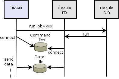 Interaction Between RMAN and Bacula