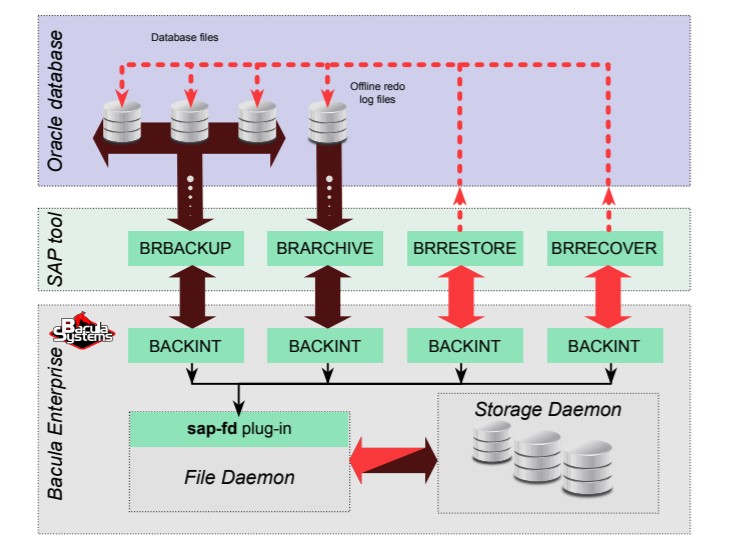 Interaction Between SAP with Oracle, Backint and Bacula